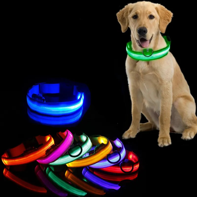 GlowGarde Dog Collars