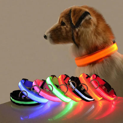 GlowGarde Dog Collars