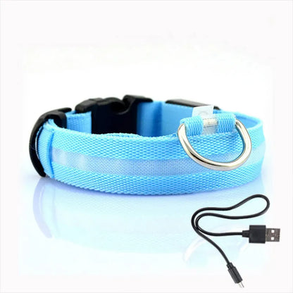 GlowGarde Dog Collars