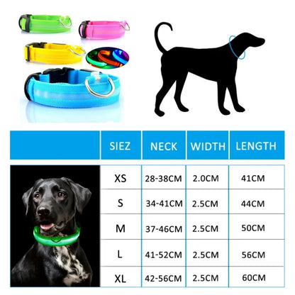 GlowGarde Dog Collars