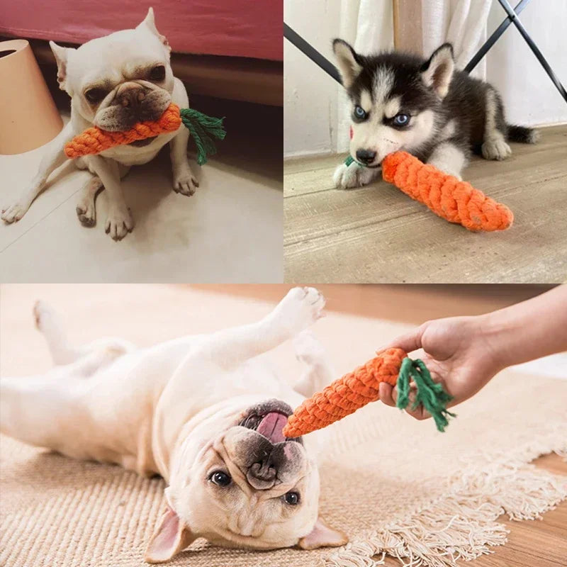 Braided Rope Carrot Chew Toy