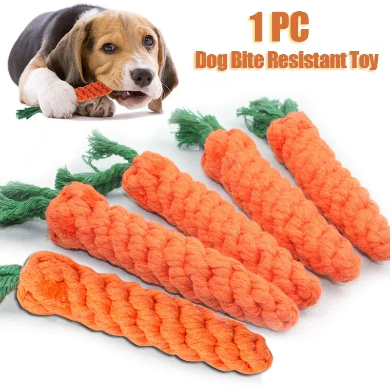 Braided Rope Carrot Chew Toy